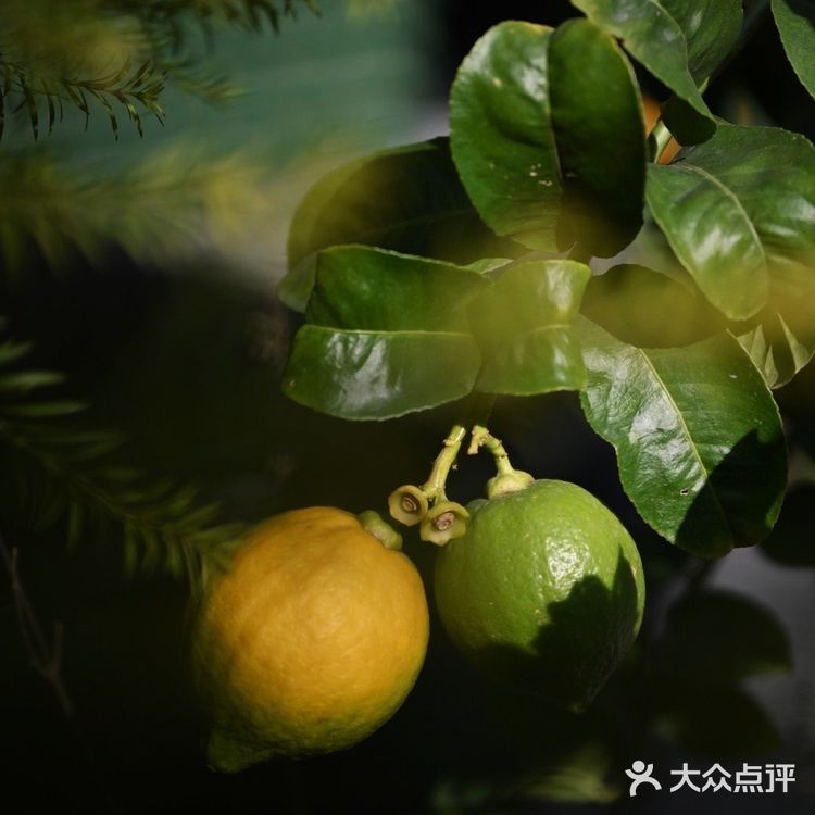 昌平路航创园区藏着一个小摩洛哥