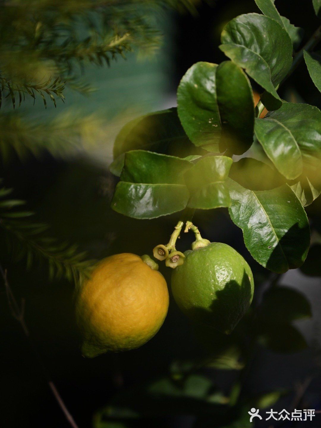 昌平路航创园区藏着一个小摩洛哥