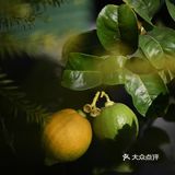 昌平路航创园区藏着一个小摩洛哥