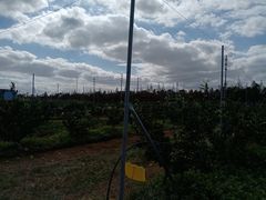 -前小桔亲子创意农场·草莓采摘·露营烧烤