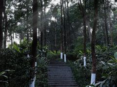 -重庆彩云湖湿地公园
