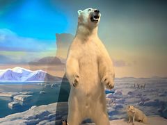 -陕西自然博物馆