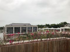 -厦门国家会计学院