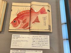 -东京国立博物馆