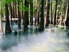 -东湖落雁景区