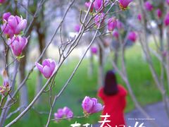 -金海湾滨江公园