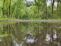 -黛秀湖公园