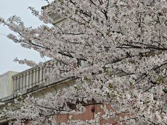 -平湖九龙山旅游度假区