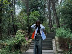 -铁山坪森林公园