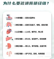点击看大图 -香薇妮丝女子减肥院