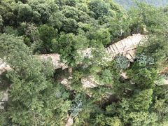 -少华山国家森林公园
