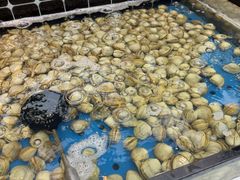 -川骄海鲜自助(河东店)