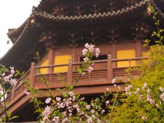 -慧因高丽寺