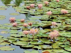 -白鹭湾湿地公园