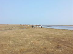 -北海金海湾红树林生态旅游区