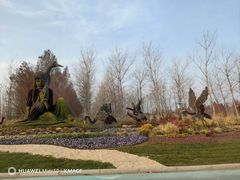 -盐城丹顶鹤湿地生态旅游区