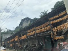 -靖西鹅泉风景区