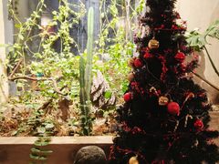 -漪龙台·B26 Rooftop Lounge