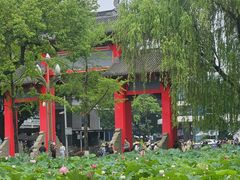-四川大学(望江校区)
