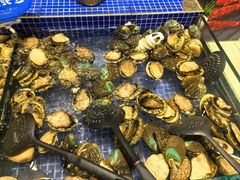 -丰卓会海鲜自助(中润大道店)