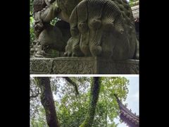 -天一阁博物院