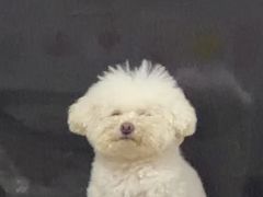 -心仪动物医院·牙专科·肿瘤·心脏科(西客站院)