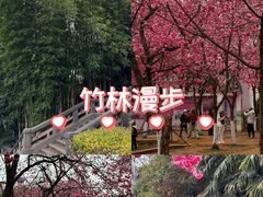 -昆明动物园