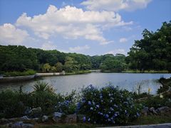 -东莞植物园