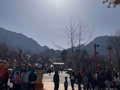 -吉姆冒险世界(蓟州店)