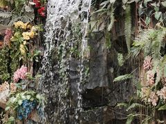 -正佳雨林生态植物园