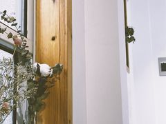 -COTTON CAFE(德信·中外公寓店)