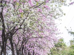 -广东财经大学(广州校区)