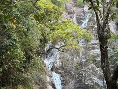 -海南霸王岭国家森林公园