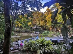 -深圳国际园林花卉博览园