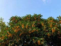 -杭州城北体育公园