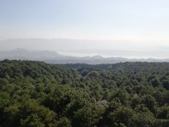 -铁山坪森林公园