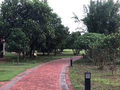 -侯臣咖啡文化村