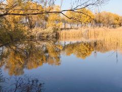 -野鸭湖国家湿地公园