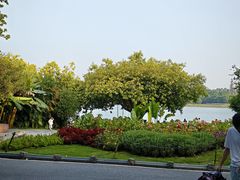 -海珠湖公园