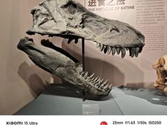 -自贡恐龙博物馆