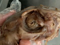 -宣兔头(马家场店)