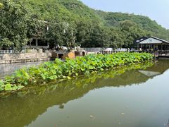 -荷塘味道(水长城店)