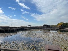 -新木器时代餐厅(太湖新天地店)