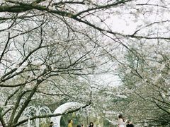 -杭州少年儿童公园