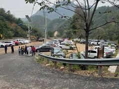 -大岭沟猕猴桃谷风景区
