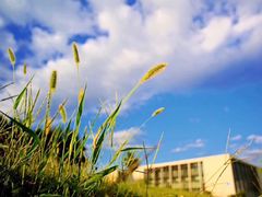 -众旺烙糕宴(悼陵监店)