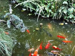 -怡園·茶膳(怡园店)