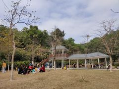 -火炉山森林公园