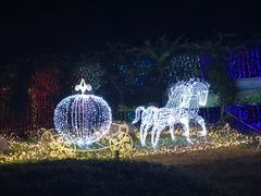 -杭州湾海上花田景区