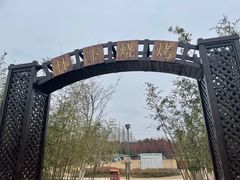 -上海长兴岛郊野公园